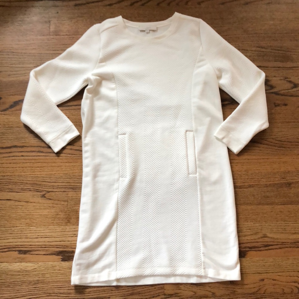 Loft sweater dress